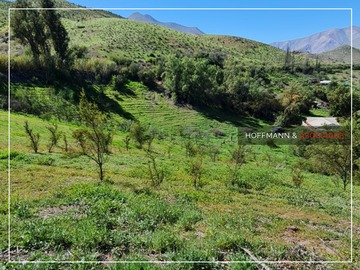 Imagen 10