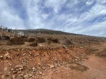 Imagen 5