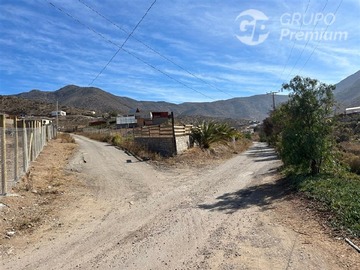 Imagen 15