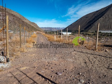 Imagen 12