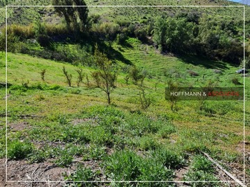 Imagen 8