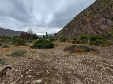 Venta / Parcela / Vicuña