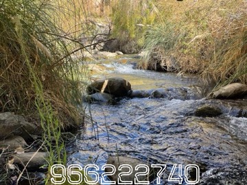 Imagen 14