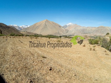 Imagen 9