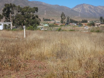 Imagen 6