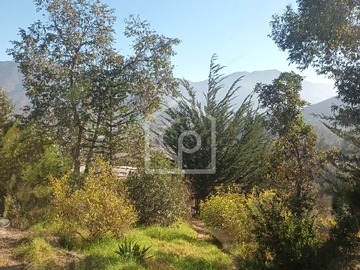 Imagen 9