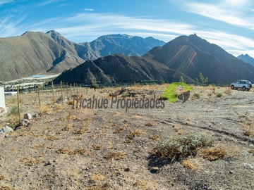 Imagen 4