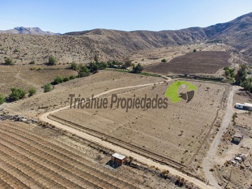 Imagen 7