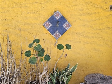 Imagen 12