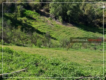 Imagen 11