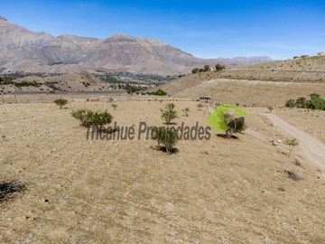 Imagen 8