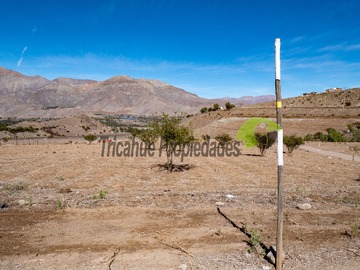 Imagen 6