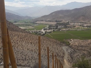 Venta / Parcela / Vicuña