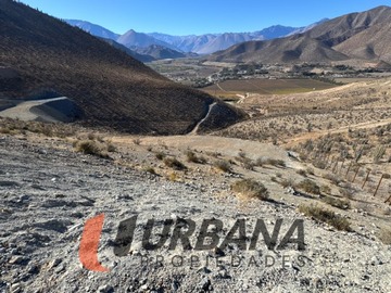 Imagen 7