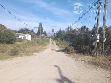 Imagen 7