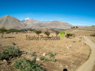 Imagen 15