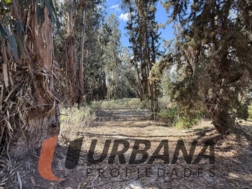 Imagen 11