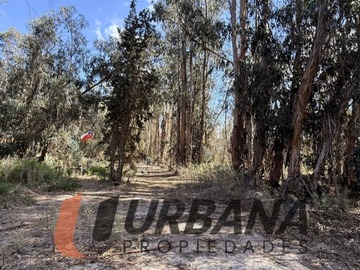 Imagen 7