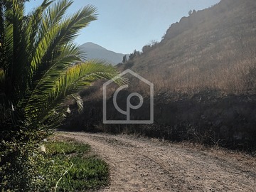 Imagen 16