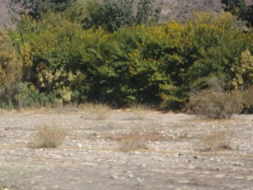 Imagen 7
