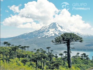 Imagen 6