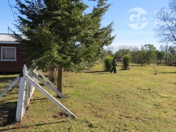 Imagen 6