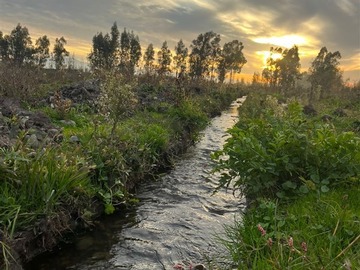 Venta / Parcela / Villa Alegre