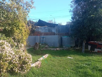 Imagen 11