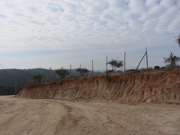 Imagen 11