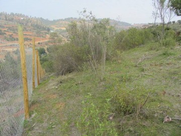 Imagen 6