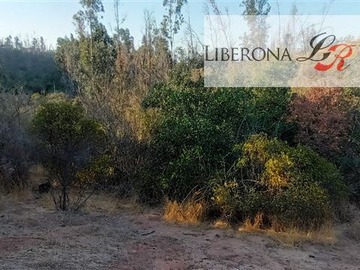 Venta / Parcela / Villa Alemana