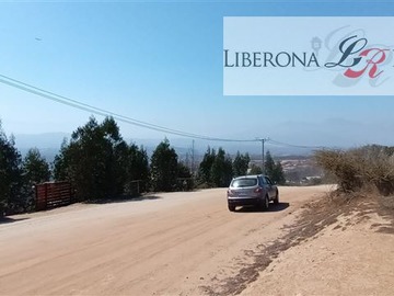 Imagen 7