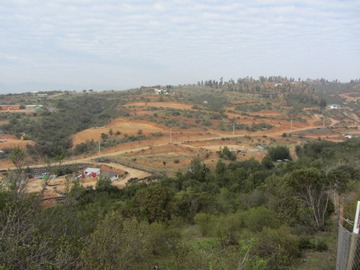 Imagen 7
