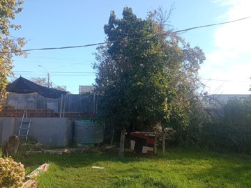 Imagen 13