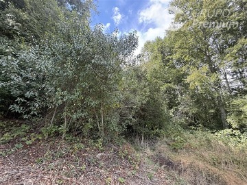 Venta / Parcela / Villarrica