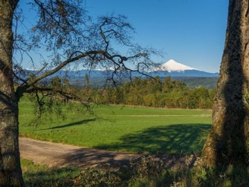 Venta / Parcela / Villarrica