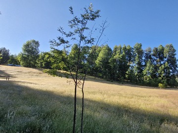 Vista desde el bajo