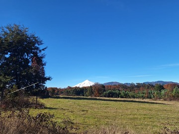 Venta / Parcela / Villarrica