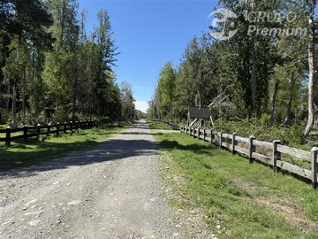 Imagen 12
