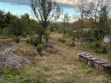 Imagen 6