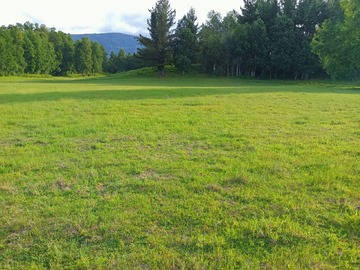 Venta / Parcela / Villarrica