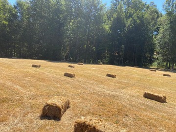 Venta / Parcela / Villarrica