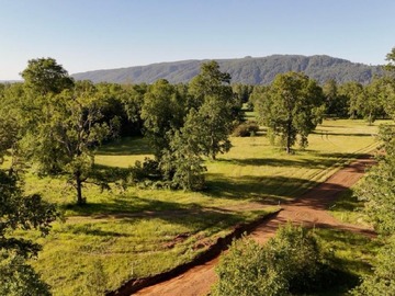 Venta / Parcela / Villarrica