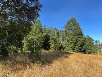 Venta / Parcela / Villarrica