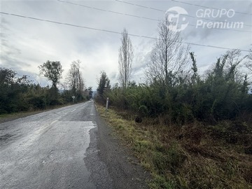 Imagen 22