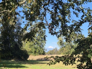 Venta / Parcela / Villarrica