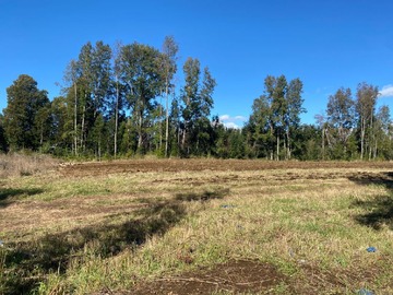 Venta / Parcela / Villarrica