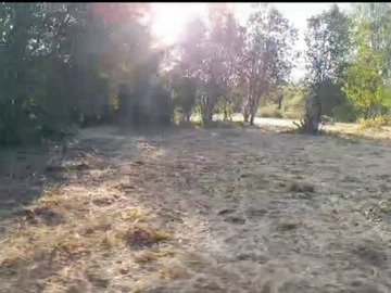 Imagen 8