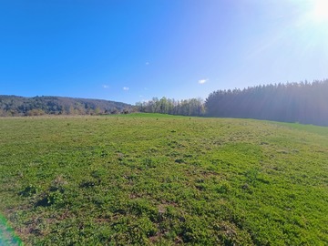 Venta / Parcela / Villarrica