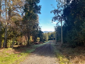 Venta / Parcela / Villarrica